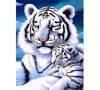 Bimkole 5D Diamond Painting Kit Bricolaje Arte Tigre Blanco, Animales Pintura De Arte Pintura Diamantes Kits Estampados De Punto De Cruz Diamantes de Imitación Decoración de Pared 30X40 cm
