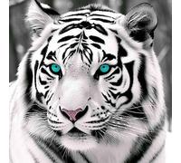 Bimkole 5d Diamond Painting Kit Bricolaje Arte Tigre Blanco De Ojos Azules, Animal Pintura De Arte Pintura Diamantes Kits Estampados De Punto Cruz Diamantes de Imitación Decoración de Pared 30X30 cm