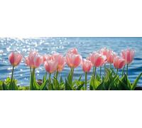 Bimkole 5D Grande Diamond Painting Kit Bricolaje Arte Tulipán, Paisaje Pintura De Arte Pintura Diamantes Kits Estampados De Punto De Cruz Diamantes de Imitación Decoración de Pared 30x80 cm
