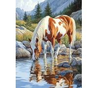 Bimkole Kits de arte de diamantes 5D para adultos, caballo junto al río, juego de bordado de diamantes de imitación, pintura con diamantes, arte de animales por números, kit de punto de cruz,