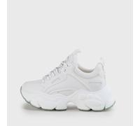 Binary C BS weiss 41