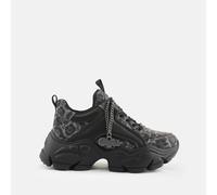 Binary C gray 38