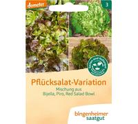 Bingenheimer Saatgut Mezcla de Ensaladas - 1 paq.