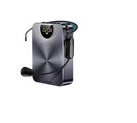 BINGNU Amplificador de Voz, Guía del Maestro Amplificador de Voz Reloj inalámbrico Altavoz micrófono 5W Soporte TF Conexión Disco Tarjeta u(Gray-Wireless)