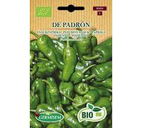 BIO Pimiento de Padron