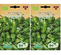 BIO Pimiento de Padron (Paquete de 2)