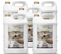 GiDeli Bioetanol 5 x 5 l de aroma de vainilla 96,6% etanol para chimeneas interiores y exteriores, sin humo ni hollín, de maíz y remolacha azucarera