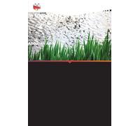 Biogéochimie du carbone, de l'azote et du phosphore dans le bassin de la Yamuna