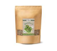 Biojoy Té de Ajenjo BÍO (500 g), secada y cortada, para infusión (Artemisia absinthium)