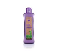 Biokera salerm champú grapeology 1000ml