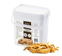 Bioky Gusanos de la Harina 1,6 KG - Tenebrios Deshidratados Premium 10L - Comida para Aves, Tortugas, Peces, Hamster, Pájaros, Roedores | +50% Proteína