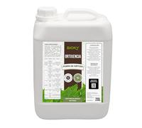Bioky® Purín de Ortiga Concentrado 20L Fungicida, Repelente y Fertilizante
