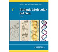 Biologia molecular del gen