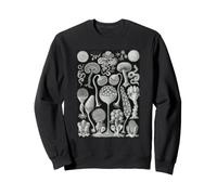 Biología Mycetozoa Slime Molds Scientific Haeckel Sudadera