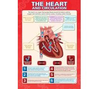Biology Poster for Classroom - Detailed Human Heart and Circulatory System Chart with Blood Flow Pathways, Teacher Resource & Student Study Aid(Unframed,08x12inch(20x30cm))
