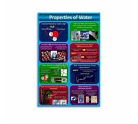 Biology Poster Properties of Water Classroom Education