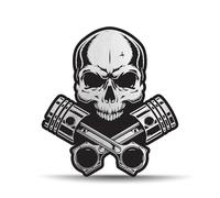 Biomar Labs 1 pegatina de vinilo con diseño de calavera, color plateado y negro, para coche, moto, bicicleta, ventana, puerta, casco, scooter, B 111