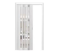 Biombo de PVC con Puerta Plegable Tipo acordeón, 30x80/32x80/36x80/48x80, Paneles acrílicos Transparentes retráctiles, Ideal para Puertas y armarios, Ahorra Espacio.