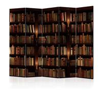 Biombo Decorativo De Una Sola Cara Con Diseño De Biblioteca: Separador De Ambientes De 5 Paneles, Impresión Opaca Sobre Lienzo No Tejido, Ideal Para Salas De Lectura