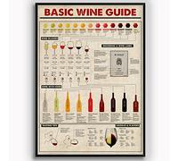 Biopracess Cartel de metal con texto en inglés "Basic Wine Guide" (guía de vinos) de metal retro y vintage para decoración de pared, 20 x 30 cm