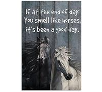 Biopracess Cartel de metal con texto en inglés "You Smell Like Horses It A Good Day" para decoración de pared de garaje, cartel de metal de 8 x 12 pulgadas