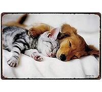 Biopracess Cartel de metal para pared con diseño de gato y perro, letrero de metal retro vintage para decoración de pared, 8 x 12 pulgadas