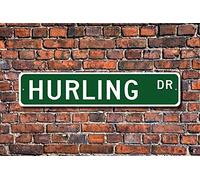 Biopracess Letrero de Hurling Hurling Fan Hurling Participante, regalo antiguo irlandés, equipo gaélico, letrero deportivo, letrero de calle de 4 x 16 pulgadas