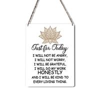 Biopracess - Letreros de reiki con texto en inglés "Just For Today" (Just For Today), letrero de metal para colgar en casa, dormitorio, puerta, letrero de metal, retro, vintage, póster de metal
