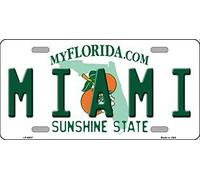 Biopracess Placa de matrícula con fondo del estado de Florida de Miami, 15 x 30 cm