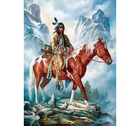 Bioprocess Cartel de metal retro para decoración de pared, diseño de lobo indio y caballo nativo americano, regalo para nativo americano, 20 x 30 cm