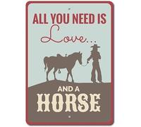 Bioprocess Cartel de metal vintage con cita de caballo de vaquera, regalo de jinete de caballo, de aspecto vintage, para bar, cafetería, 8 x 12 pulgadas