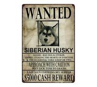Bioprocess Cartel de metal vintage con diseño de husky siberiano de 20 x 30 cm