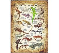 Bioprocess Geckos Of The World - Póster decorativo para el hogar, diseño vintage, decoración de pared, cartel de metal, 8 x 12 pulgadas