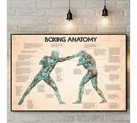 Bioprocess Póster de anatomía del boxeo, póster de conocimiento del boxeo, póster de boxeo, cueva de boxeo para interiores y exteriores, póster de decoración de pared del hogar, letrero de metal de 8
