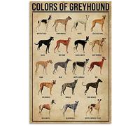Bioprocess Póster de metal de colores de galgo, regalo divertido para perro, póster de 8 x 12 pulgadas