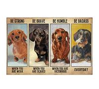 Bioprocess Póster de perro salchicha, regalo para Dacshund Ls, póster de perro, póster vintage de perro salchicha, póster decorativo de pared, letrero de estaño, póster de metal de 12 x 8 pulgadas