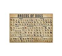 Bioprocess Póster de todas las razas de perros con detalle de cada perro, gran regalo para tus brotes, decoración de pared, póster de metal de 8 x 12 pulgadas
