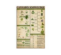 Bioputty Cannabis Knowledge Room, 30,5 x 20,3 cm, póster vintage divertido para decoración de pared, regalo de arte retro, letrero de metal