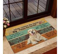 Bioputty Divertidos felpudos de puerta para interiores, visitar mi casa, por favor recuerden las reglas del perro Golden Retriever, felpudos de bienvenida, alfombra de entrada, alfombra de baño