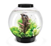 biOrb 72005 CLASSIC 30 LED negro - acuario decorativo completo con sistema de filtración, iluminación LED y grava cerámica de vidrio acrílico resistente
