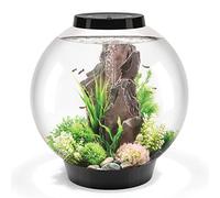 biOrb 72011 CLASSIC 60 LED negro - acuario decorativo completo con sistema de filtrado, iluminación LED y grava cerámica de resistente cristal acrílico