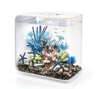 biOrb 72034 FLOW 30 LED en blanco - elegante acuario de diseño completo con sistema de filtrado, iluminación LED, grava de fondo y difusor de aire de resistente cristal acrílico