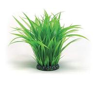 biOrb Anillo de hierba de color verde en tamaño L