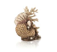 biOrb Coral con conchas decorativo en color natural