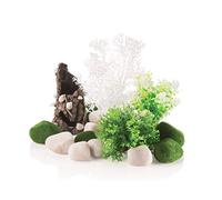 biOrb Fairytales Conjunto de plantas decorativas
