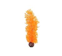biOrb Gorgonia de color naranja en tamaño M