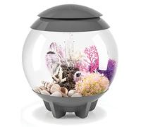 biOrb HALO 15 Acuario acrílico, Gris, iluminación LED remota Multicolor MCR, Tanque de Peces Premium con línea de Agua Oculta, filtración de 5 Pasos, fácil instalación, con Bomba de Aire, Cartucho de