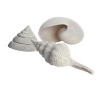 biOrb Juego de 3 conchas de color blanco