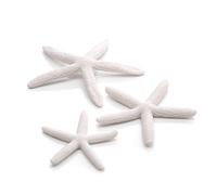 biOrb Juego de 3 estrellas de mar en color blanco
