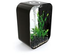 biOrb Life 60 MCR Negro